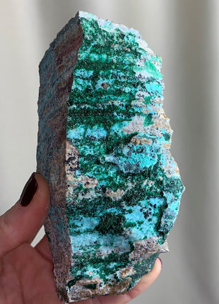 Druzy Chrysocolla with Green Malachite  - From DRC