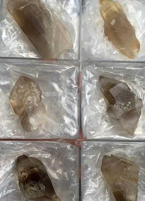 Smoky Phantom Quartz Lot - Hallelujah Junction, Nevada - 6 Pieces !
