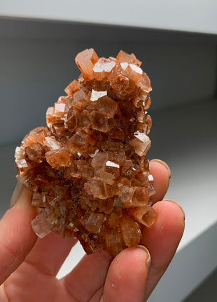 Lustrous Aragonite Disco Ball 🪩 Special Price 💥