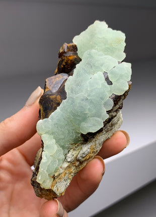 Wow ! Andradite Garnet with Apple Green Prehnite