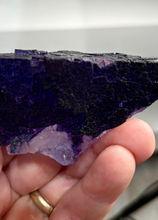 Blurple Fluorite from Muzquiz, Mexico 1