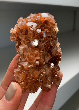 Lustrous Aragonite Disco Ball 🪩 Special Price 💥