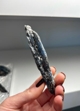 XL Size Blue Kyanite with Mica - From Zambia - 12 Pieces