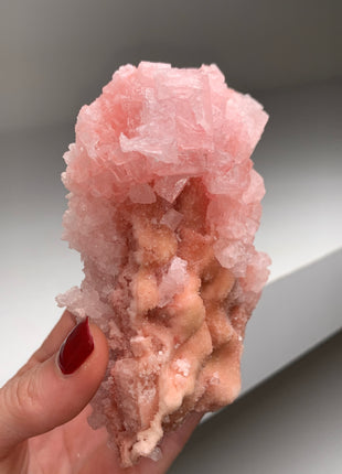 High Grade Pink Halite from Searles Lake, California
