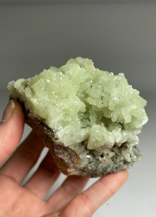 4 Pieces ! Druzy Apple Green Prehnite Lot - big size