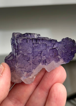 Blurple Fluorite from Muzquiz, Mexico