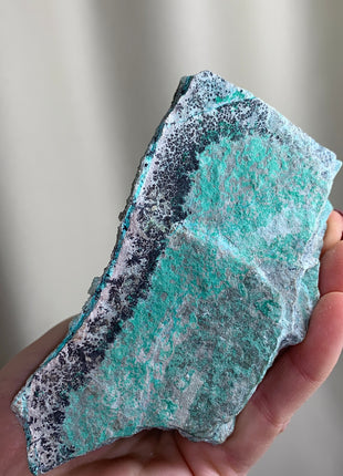 Wow ! Druzy Blue Chrysocolla with Dendritic Flowers - From DRC Special Price 💥