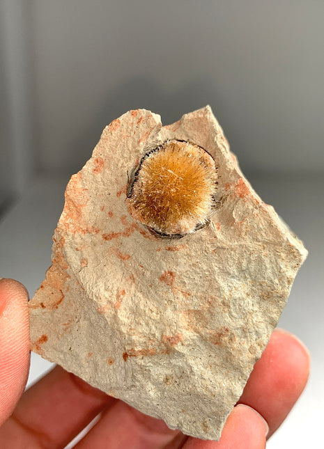Bursting Sun Aragonite Ball in Cluster - From Pantoja, Spain