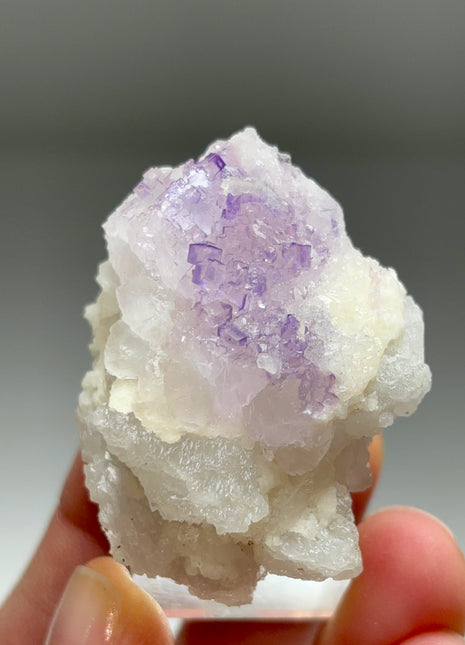 Fluorite on Celestine