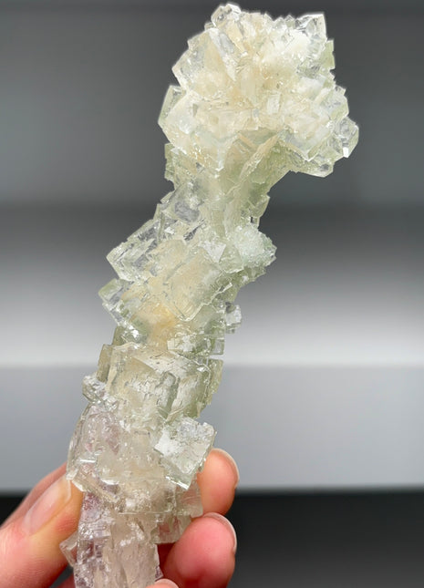 Wow ! Gemmy Multicolor Halite Stalactite - From Lubin mine, Poland