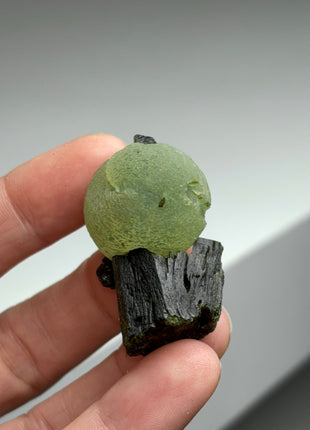 6 Pieces ! High Grade Apple Green Prehnite with Epidote Lot - From Mali