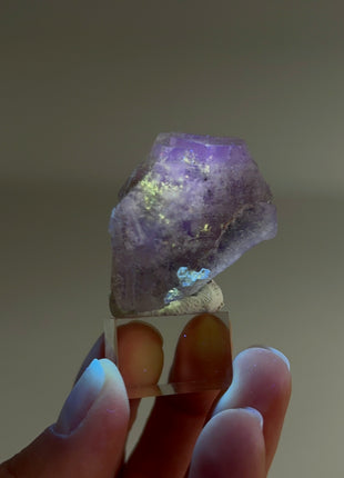 New Arrival ! Galaxy Fluorite