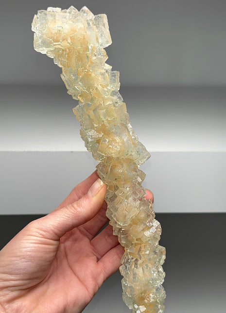 Gemmy Green Halite Stalactite - From Lubin mine, Poland