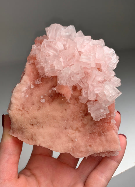 High Grade Pink Halite - from Searles Lake, California
