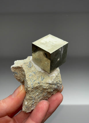 New ! Cubic Pyrite on Matrix from Navajun, Spain