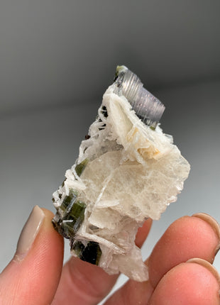Rare ! White Cap Green Tourmaline with Clevelandite - 180 Carats