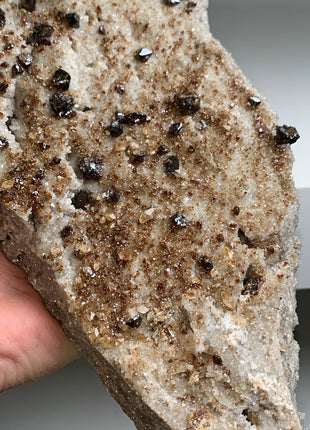 Sphalerite with Dolomite from Elmwood mine - Collection # 113