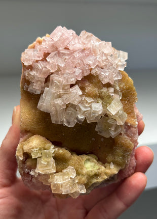 New find ! Green and Pink Halite - from Owens Lake, California