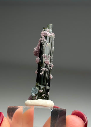 New ! Green Tourmaline with Lepidolite