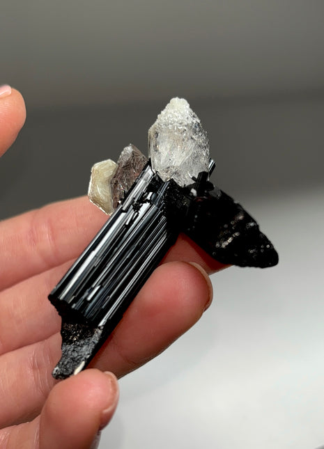 Black Tourmaline with Quartz