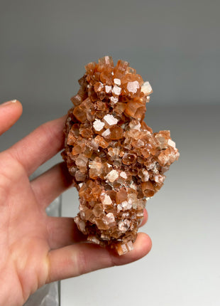4 Piece Lot ! Aragonite Disco Ball Specimens
