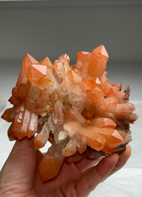 New arrival ! Red Passion Quartz