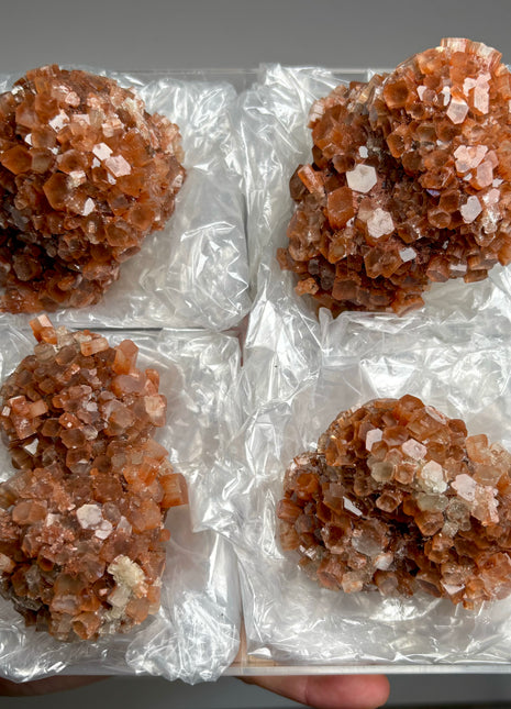 4 Piece Lot ! Aragonite Disco Ball Specimens