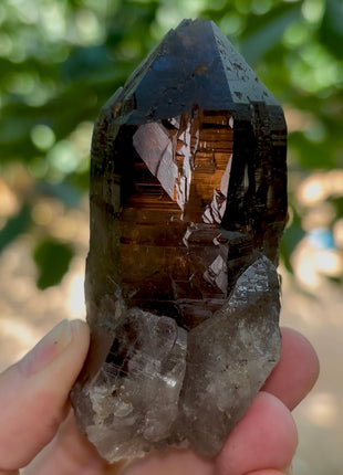 Morion Quartz PM1215