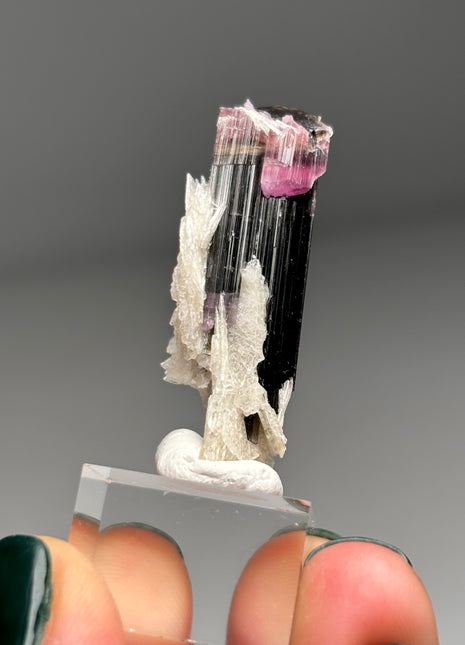 Pink Cap Tourmaline with Cleavelandite