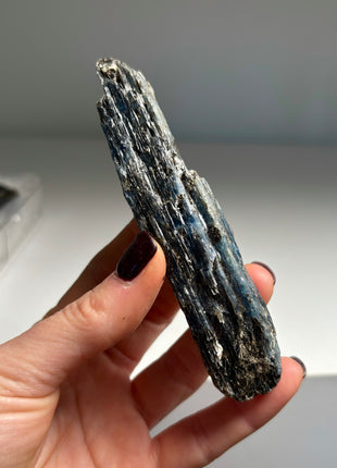 XL Size Blue Kyanite with Mica - From Zambia - 6 Pieces