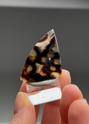 New Arrival ! Orbicular Agate