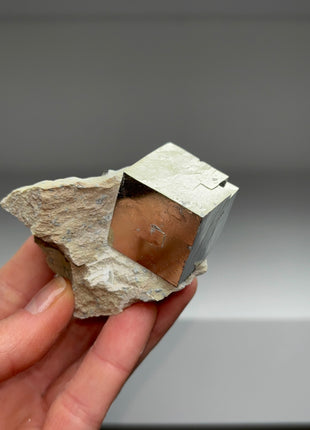 New ! Cubic Pyrite on Matrix from Navajun, Spain