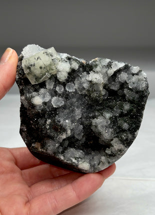 Very High Grade Druzy Black Chalcedony Geode with Apophyllite
