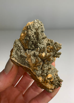 Wow ! Yellow Barite Flowers with Pyrite 🔥