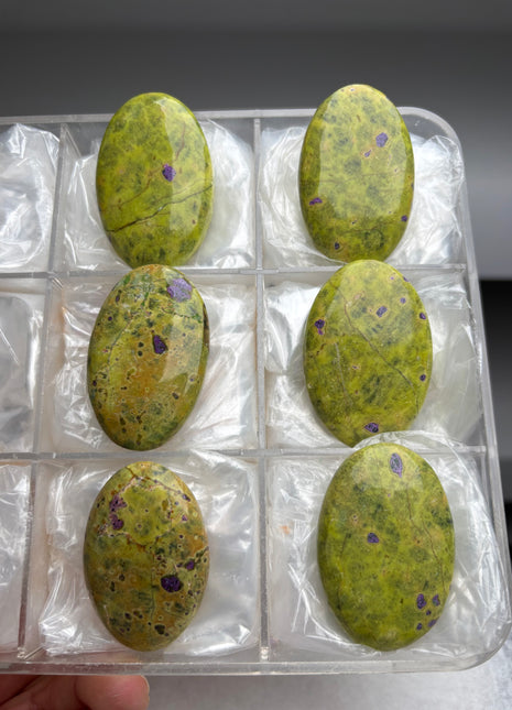 6 Piece Lot ! Atlantisite from Australia