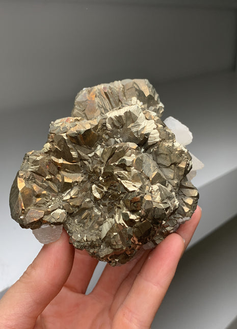 Wow ! Pyrite Flower with Calcite - Trepca mine Kosovo