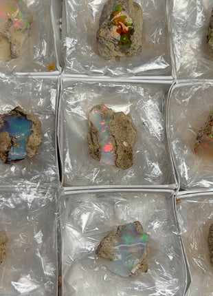 9 pieces !  High Grade We’lo Opal Lot  - From Ethiopia