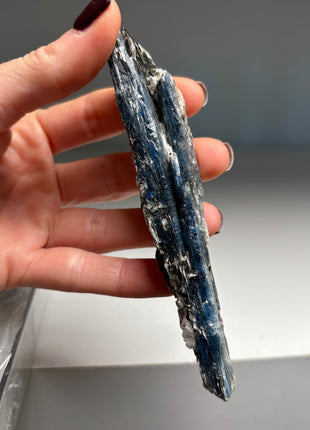 XL Size Blue Kyanite with Mica - From Zambia - 6 Pieces