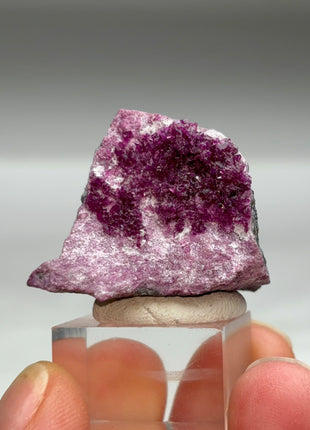 Purple Red Kammererite Specimen