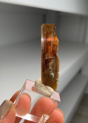 Rare ! Red Brookite with Green Chlorite Quartz