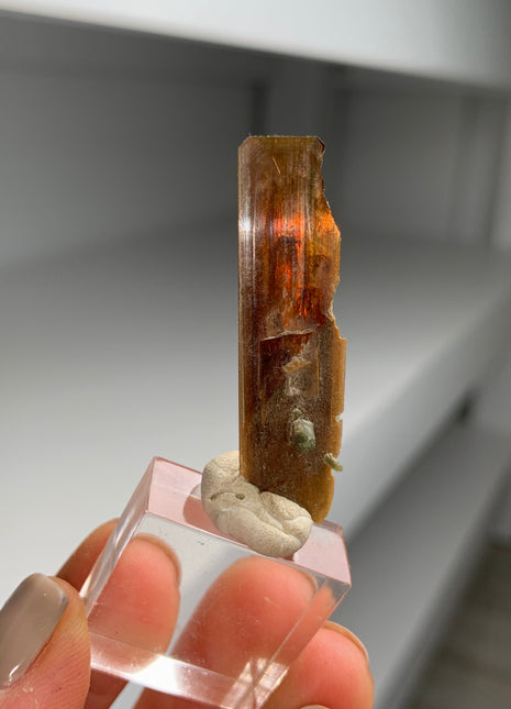 Rare ! Red Brookite with Green Chlorite Quartz