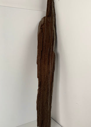 Stunning and Rare Permineralized Fossil Wood with Quartz From Germany - 26” (67 cm) *