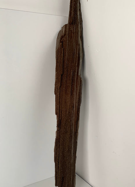 Stunning and Rare Permineralized Fossil Wood with Quartz From Germany - 26” (67 cm) *
