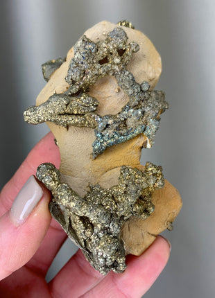 Wild ! Pyrite on Rock Matrix Specimen