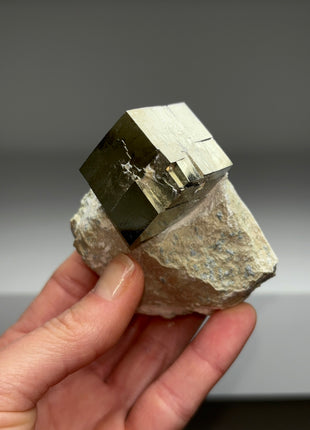 New ! Cubic Pyrite on Matrix from Navajun, Spain