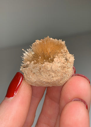 New Arrival ! Bursting Sun Aragonite Ball - From Pantoja, Spain