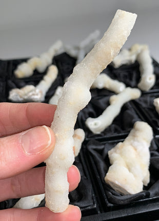 New ! White Coral Chalcedony Stalactite Lot - 12 pieces !