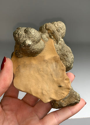Unusual ! Pyrite on Rock Matrix Specimen