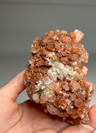 4 Piece Lot ! Aragonite Disco Ball Specimens