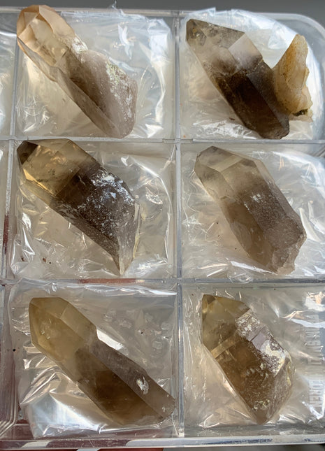 Smoky Phantom Quartz Lot - Hallelujah Junction, Nevada - 6 Pieces !